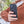 Load image into Gallery viewer, Quad Lock Case for iPhone 12 & 13