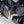 Load image into Gallery viewer, Indian FTR 1200 Crash pads