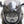 Load image into Gallery viewer, Lamp mask front fairing | Indian Scout Bobber