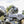Load image into Gallery viewer, Quad Lock Motorcycle Knuckle Adaptor - Motorcycle/Scooter