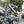 Load image into Gallery viewer, Quad Lock Motorcycle Knuckle Adaptor - Motorcycle/Scooter