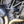Load image into Gallery viewer, Indian FTR 1200 Crash pads