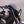 Load image into Gallery viewer, Lamp mask front fairing | Indian Scout Bobber
