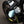 Load image into Gallery viewer, Triumph Bonneville Bobber - Bar end mirror | Model-based
